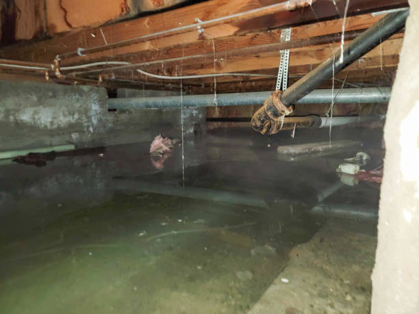 Sewage cleanup and water damage restoration in Maysville, NC