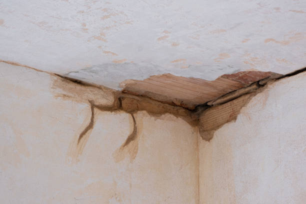 Water damage restoration mold remediation in Maysville, NC