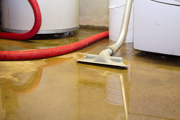 24/7 water damage repair in Maysville, NC