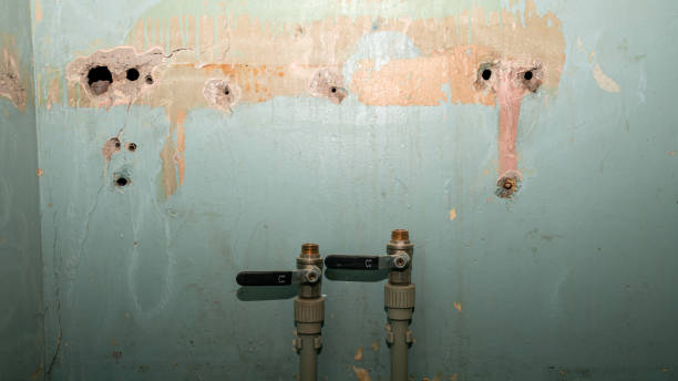 Sewage cleanup and water damage restoration in Maysville, NC